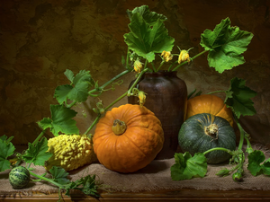 Leaf, pumpkin, Vase