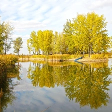 leaved, Sky, lake, forest, little doggies