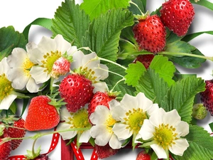 leaves, Strawberries, Flowers