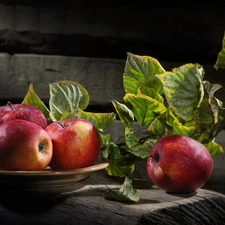 twig, leaves, Fruits, apples, plate