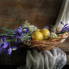 composition, Irises, lemons, Flowers