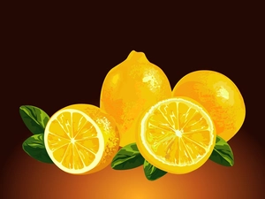 lemons, Drawing