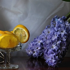 lemons, Hyacinths, glass