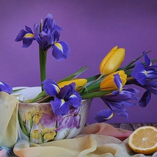 lemons, Irises, Tulips