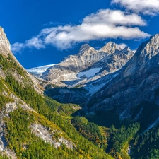 forest, ligh, shadow, sun, luminosity, canyon, Mountains, flash