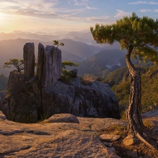 light breaking through sky, Mountains, viewes, pine, trees, rocks