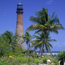 Lighthouses, sea, Palms