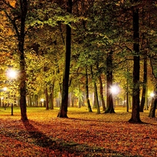 lighting, Autumn, Park