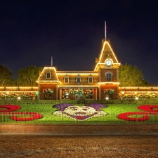 Disneyland, Lights