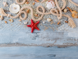 string, line, starfish, Pearl, Shells