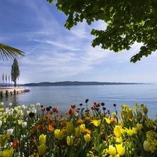 Germany, Bodensee, Tulips, Mainau Bay Island