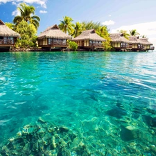 Houses, Tropical, Maldives, sea