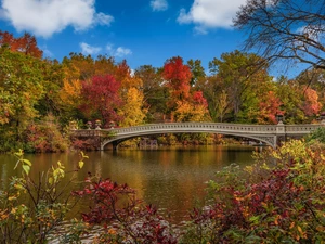 New York, autumn, Manhattan, Central Park, bridge, The United States, viewes, lake, trees