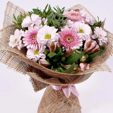 marguerites, bouquet, Astr?w