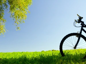 Meadow, Bike