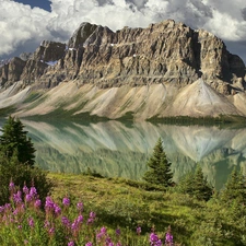 Meadow, Mountains, lake