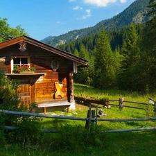 Mountains, Home, Meadow, woods