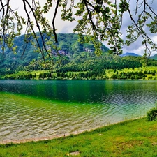 Mountains, lake, Meadow, forest