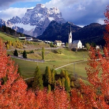 Mountains, viewes, Meadow, trees