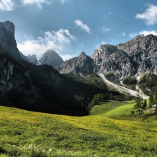 Mountains, Meadow