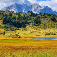 Alps, Mountains, lake, car in the meadow, viewes, Tirol, Austria, trees