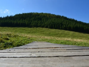 Zakopane, bridges, wooden, Meadow