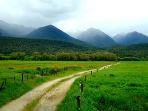 Mountains, Way, medows, Field