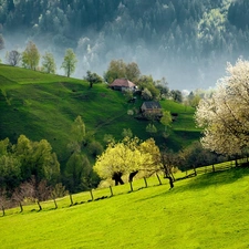 woods, Mountains, medows, Houses, country, Slovenia, trees, viewes, flourishing
