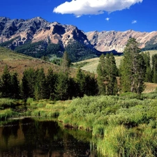 medows, Mountains, woods