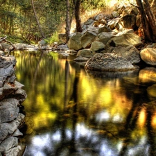 Mirror, reflection, Stones, forest, River