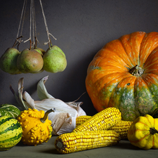 corn, truck concrete mixer, Fruits, pumpkin, vegetables