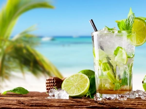 drinks, limes, Icecream, Mojito