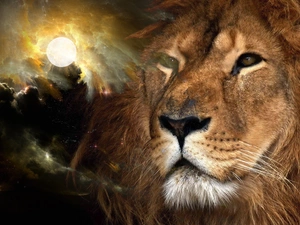 Lion, clouds, Night, moon