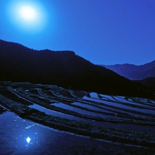 moon, Sky, rice, Night, field