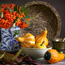 Vase, bowl, basket, pumpkin, Acorns, Plant, composition, mortar