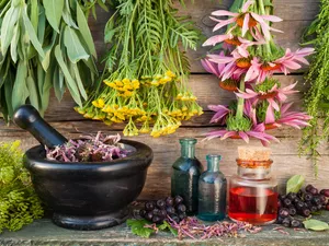Bottles, mortar, Tansy, echinacea, Plants