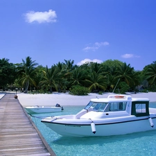 Beaches, Platform, Motor boat, Palms