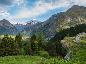 trees, viewes, Alps Mountains, Maloja Pass, Switzerland