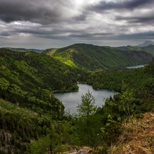 woods, Mountains, Austria, Langbathseen Lake