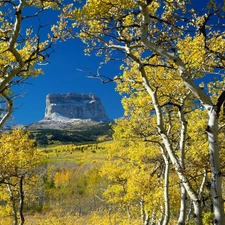 Mountains, birch, autumn