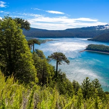 Mountains, Chile, trees, viewes, lake