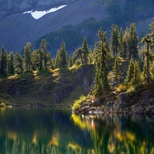 Mountains, lake, forest