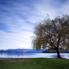 Mountains, trees, lake