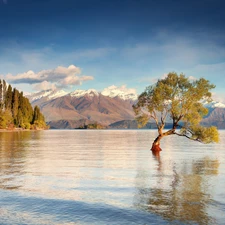 lake, viewes, Mountains, trees