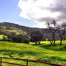 Mountains, fence, Meadow