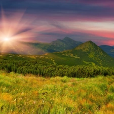 Mountains, Meadow, sun, rays, west