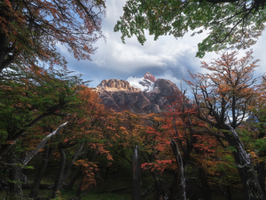 mountains, Fitz Roy, clouds, autumn, viewes, Patagonia, Argentina, trees