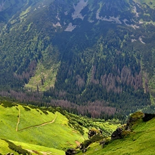 Poland, slope, Mountains, carpathians