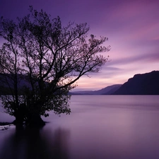 trees, lake, Mountains, frozen