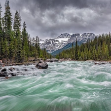 Stones, River, trees, Mountains, tear, Spruces, viewes